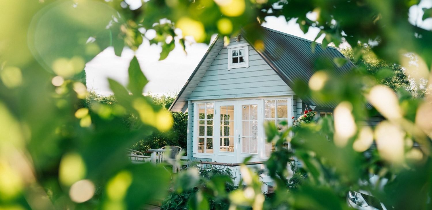 afforable-web-design-builder-pic1